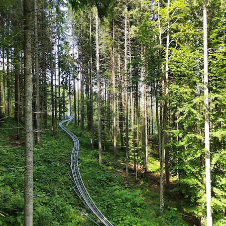 Fürstensteiner Hof, Ihr Urlaub Im Herzen Des Bayerischen Waldes Gasthof 3*