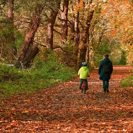 Fürstensteiner Hof, Ihr Urlaub Im Herzen Des Bayerischen Waldes Gasthof