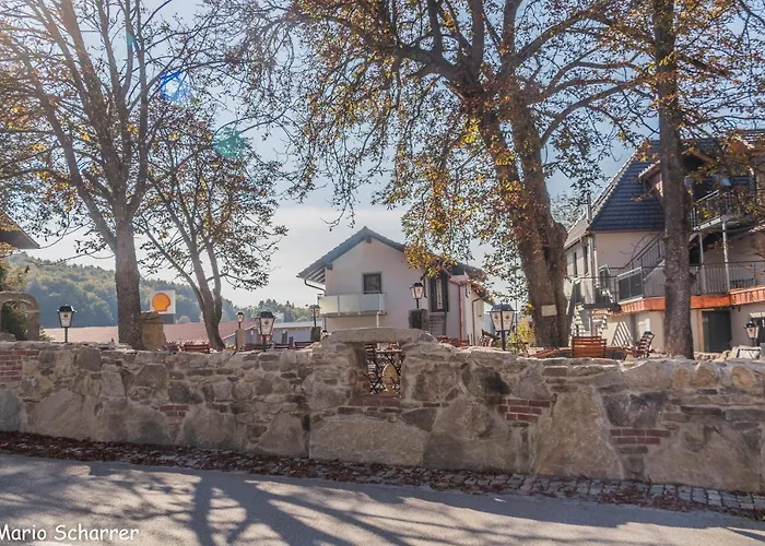 Fuerstensteiner Hof, Ihr Urlaub Im Herzen Des Bayerischen Waldes 3* Fürstenstein