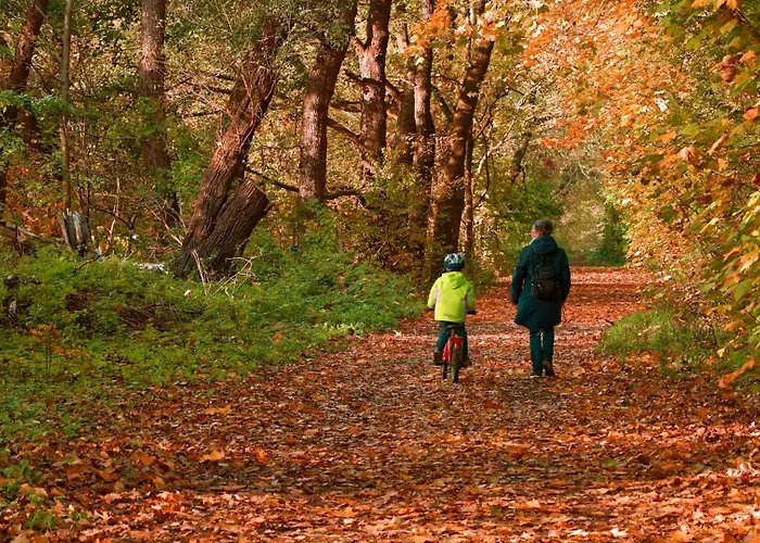 Fuerstensteiner Hof, Ihr Urlaub Im Herzen Des Bayerischen Waldes Penzion