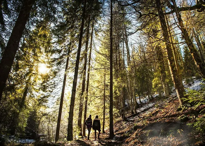 Fuerstensteiner Hof, Ihr Urlaub Im Herzen Des Bayerischen Waldes 3*