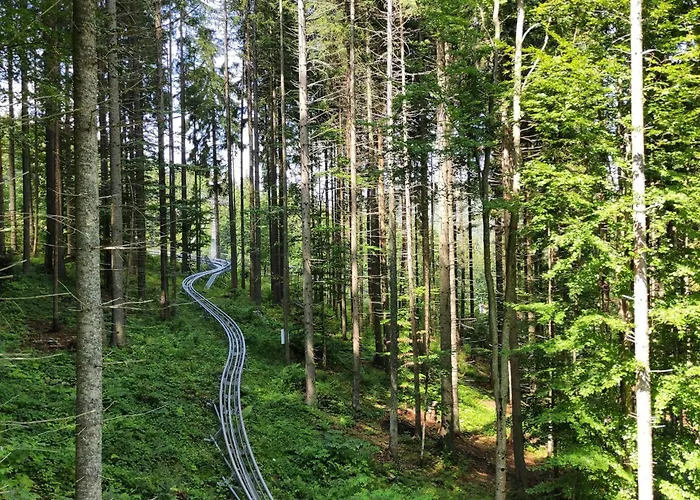 Fuerstensteiner Hof, Ihr Urlaub Im Herzen Des Bayerischen Waldes Πανσιόν 3*