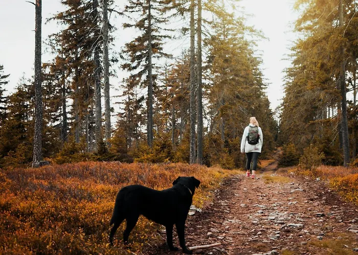 Fuerstensteiner Hof, Ihr Urlaub Im Herzen Des Bayerischen Waldes Πανσιόν